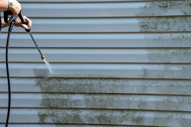 Best Shed Removal  in Orange Grove, TX